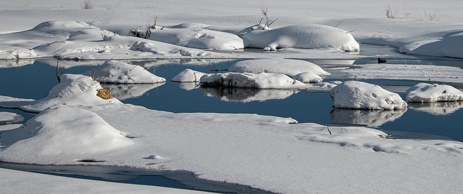 Winter In the Tetons I Photograph by Douglas Wielfaert