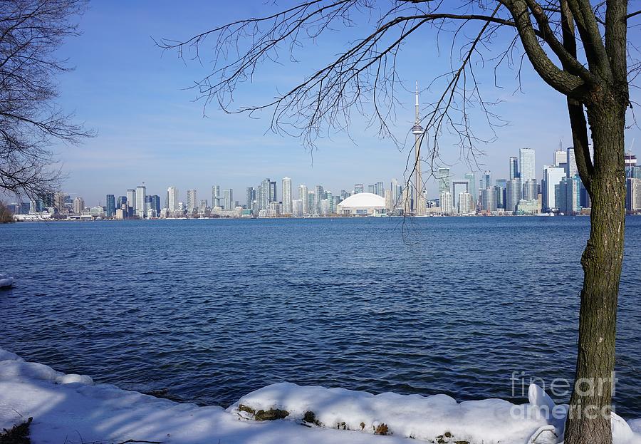 Winter In Toronto 2 Photograph