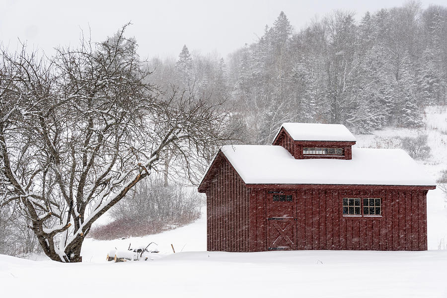 Winter in Vermont  Photograph by John Rowe