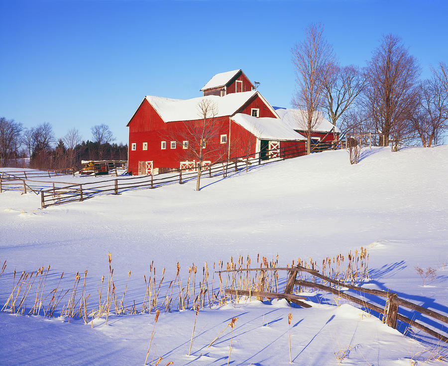 Winter In Vermont Photograph by Ron and Patty Thomas