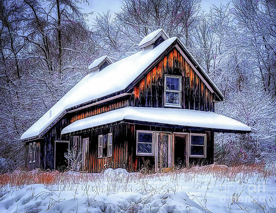 Winter in Virginia Photograph by Nick Zelinsky Jr