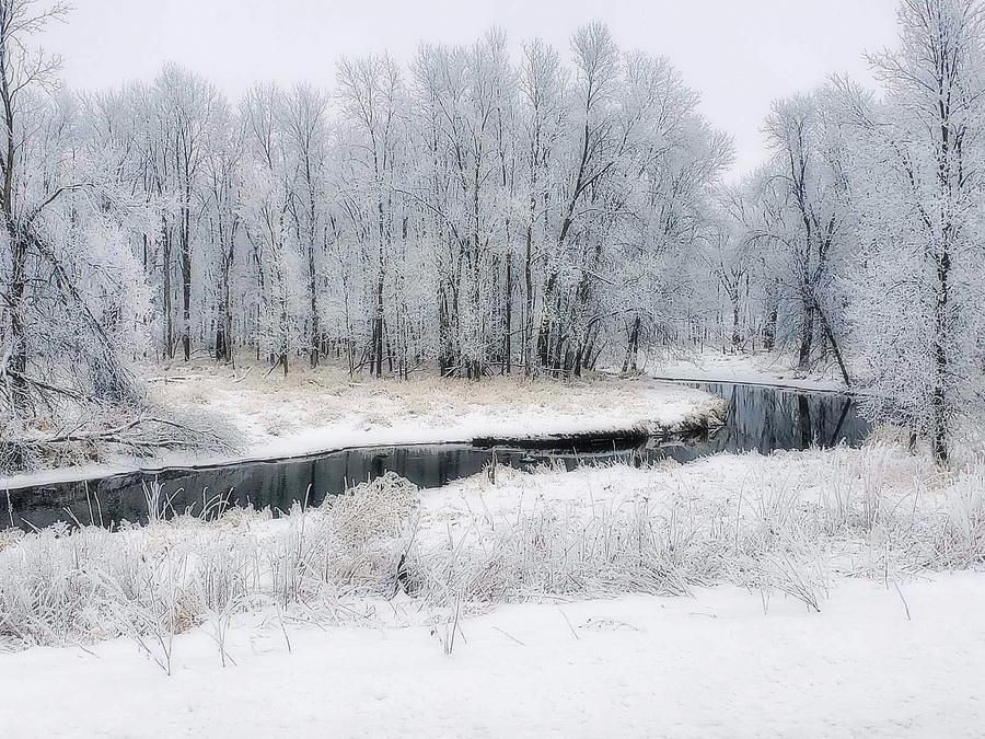 Winter In Wisconsin Photograph by Kay Novy