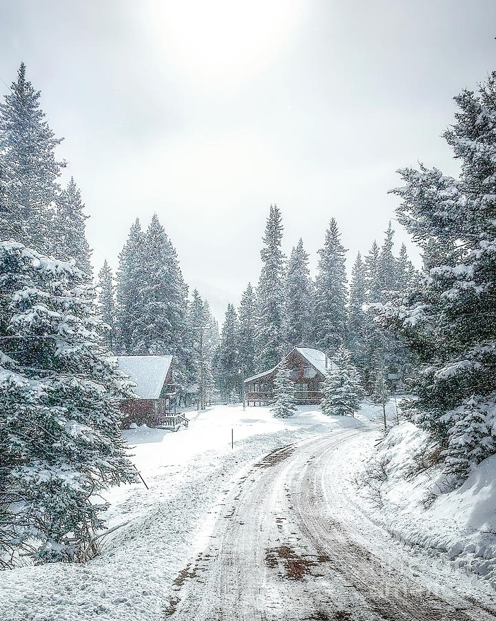 Winter in Wonderland from Red River NM Photograph by Elijah Rael