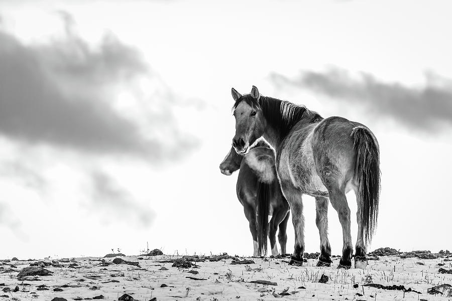 Winter in Wyoming by Michael Chatt Winter in Wyoming by Michael Chatt