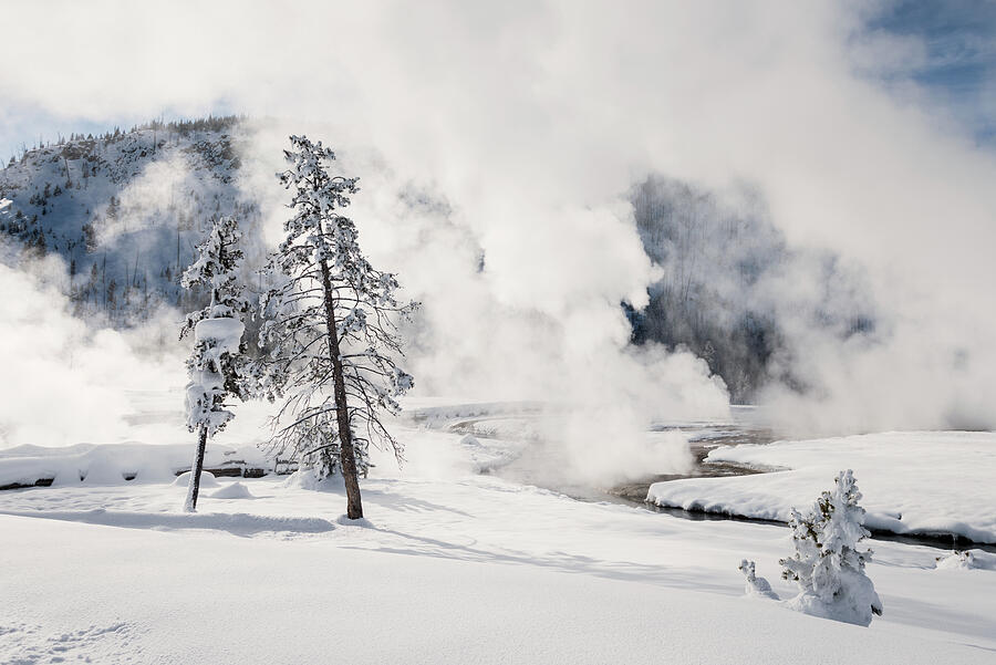 Winter in Yosemite Photograph by Donald Tredinnick Winter in Yosemite Photograph by Donald Tredinnick