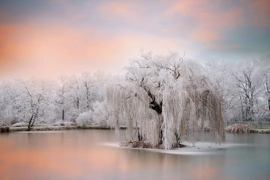 Winter is Coming Photograph by Philippe Sainte-Laudy