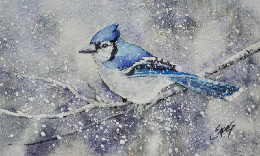 Winter Jay Painting by Linda Eades Blackburn