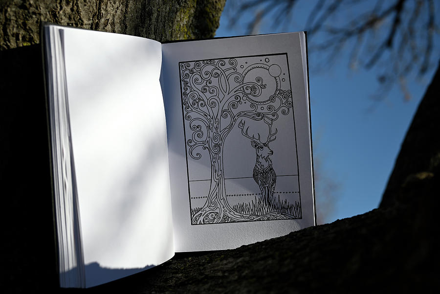 Winter Journal Tree and Stag Photograph by Katherine Nutt
