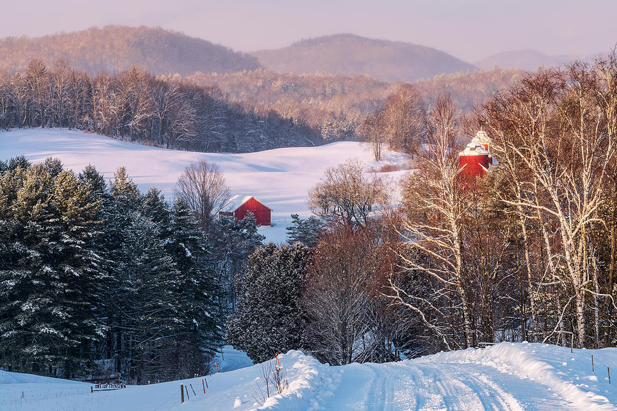 Winter Journey Photograph by Alan L Graham