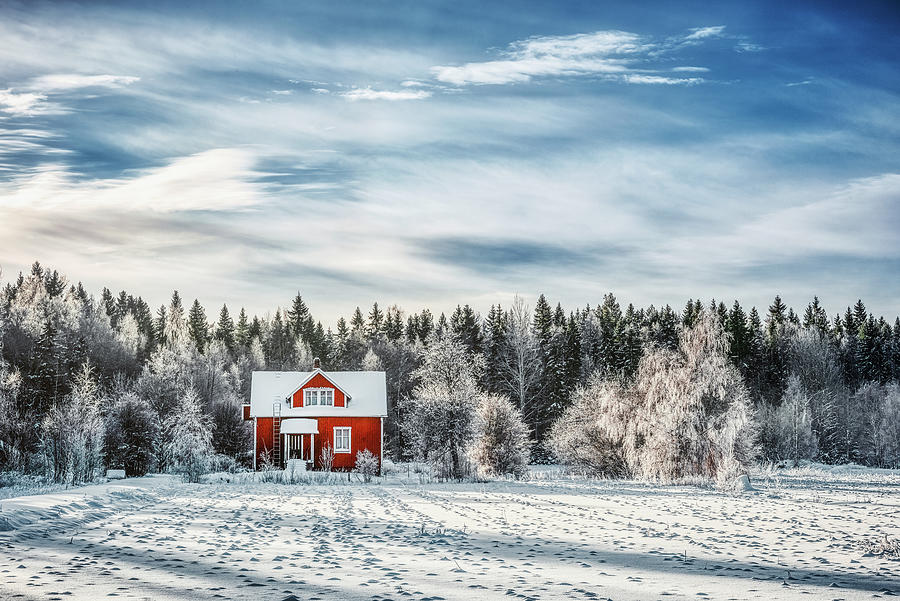 Winter Kingdom Photograph by Philippe Sainte-Laudy