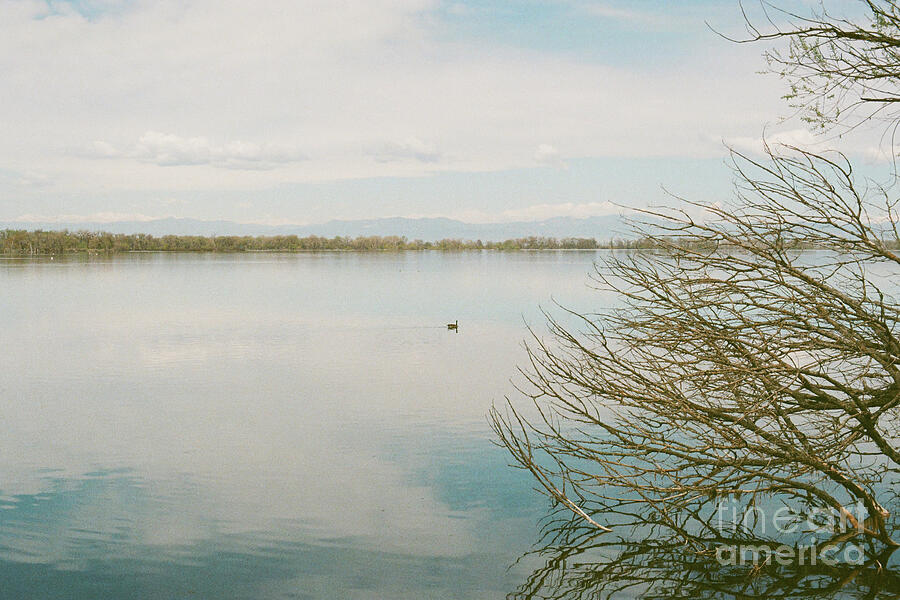 Winter Lake Photograph by Ana V Ramirez