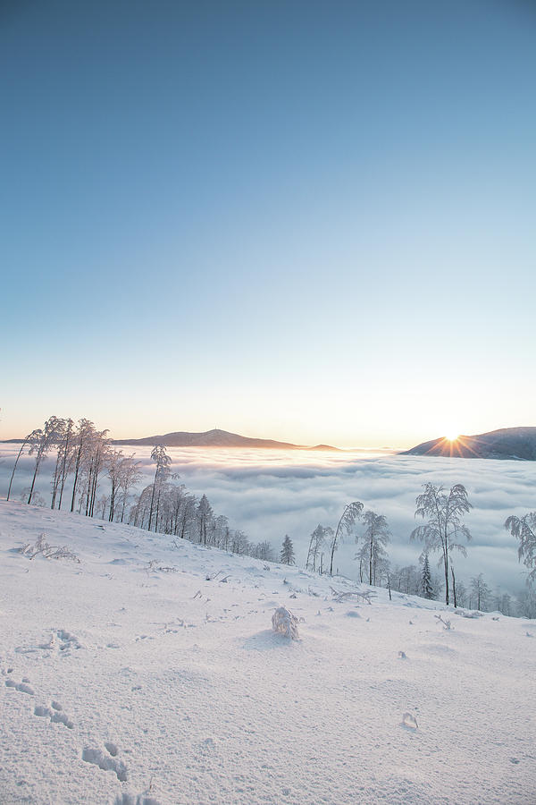 Winter landscape above the clouds at sunrise Photograph by Vaclav Sonnek