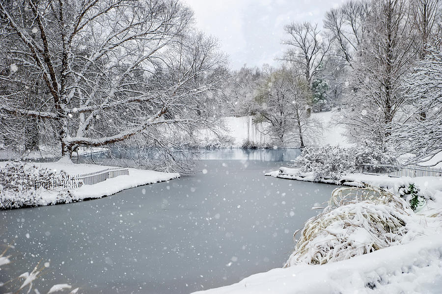 Cincinnati Photograph - Winter Landscape by Ed Taylor