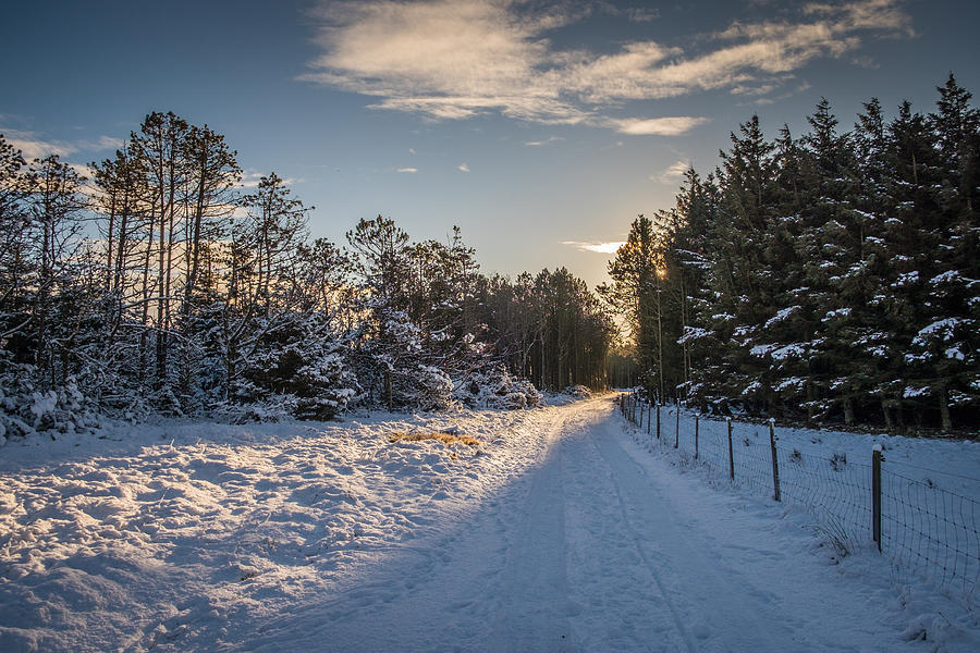 Winter landscape from Lista in Norway Photograph by Finn Bjurvoll Hansen