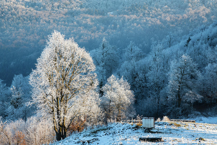 Winter landscape Photograph by Ian Middleton