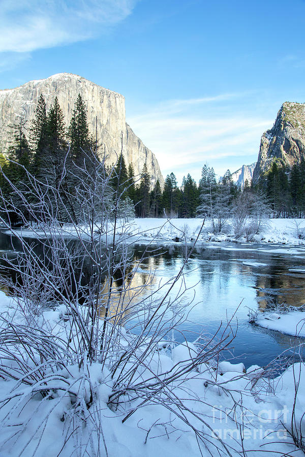 Winter Landscape in Yosemite California Photograph by Julia Hiebaum