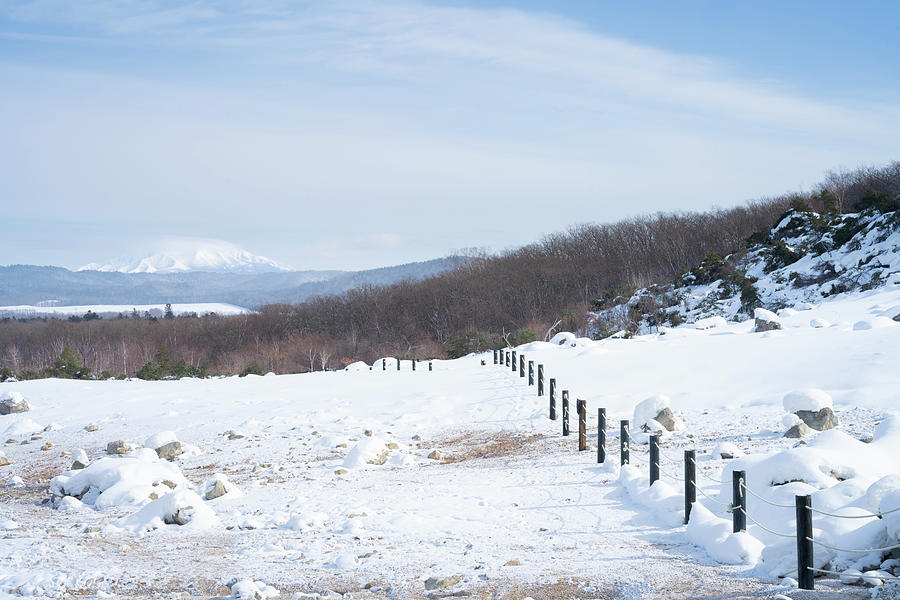 Winter Landscape of Japan Photograph by Kiran Joshi