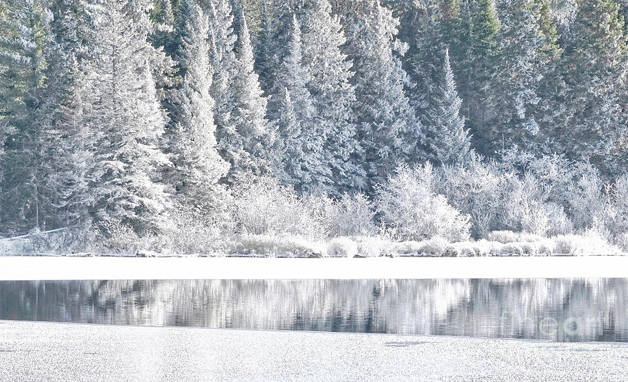 Winter Landscape of Snow Covered Forest and Lake Photograph by Charline Xia