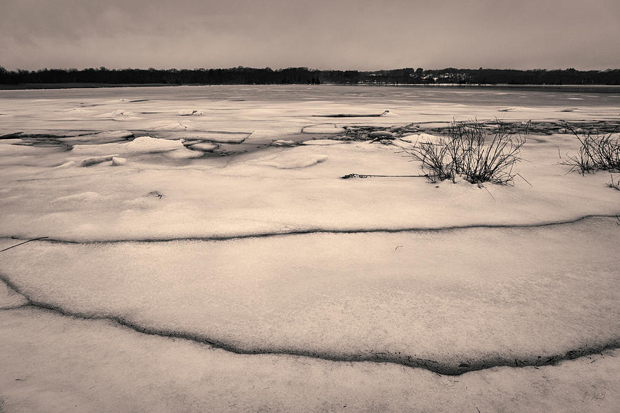 Winter landscape XIII Toned Photograph by David Gordon