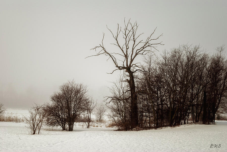 Winter Landscape XV Color Photograph by David Gordon