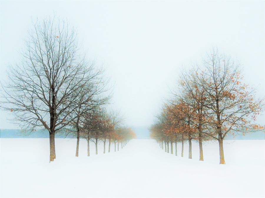 Winter Photograph - Winter Lane Along the Rural Road  by Lori Frisch