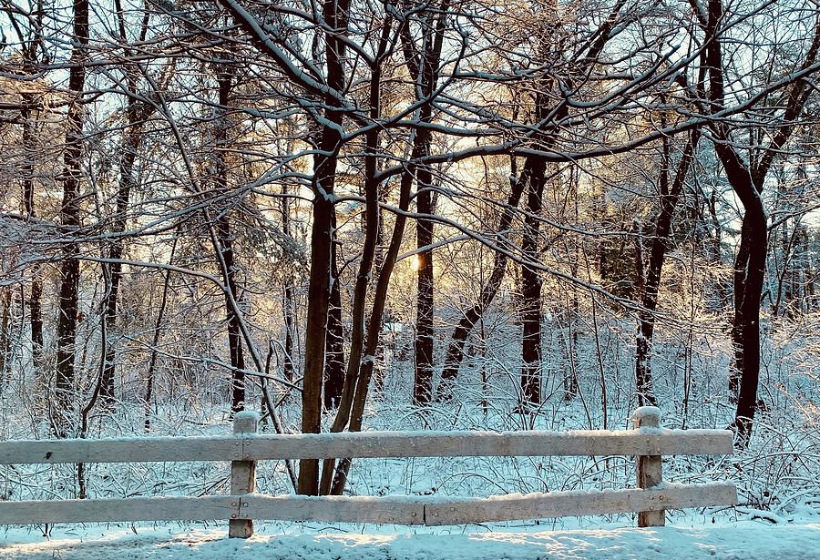Winter Light Photograph