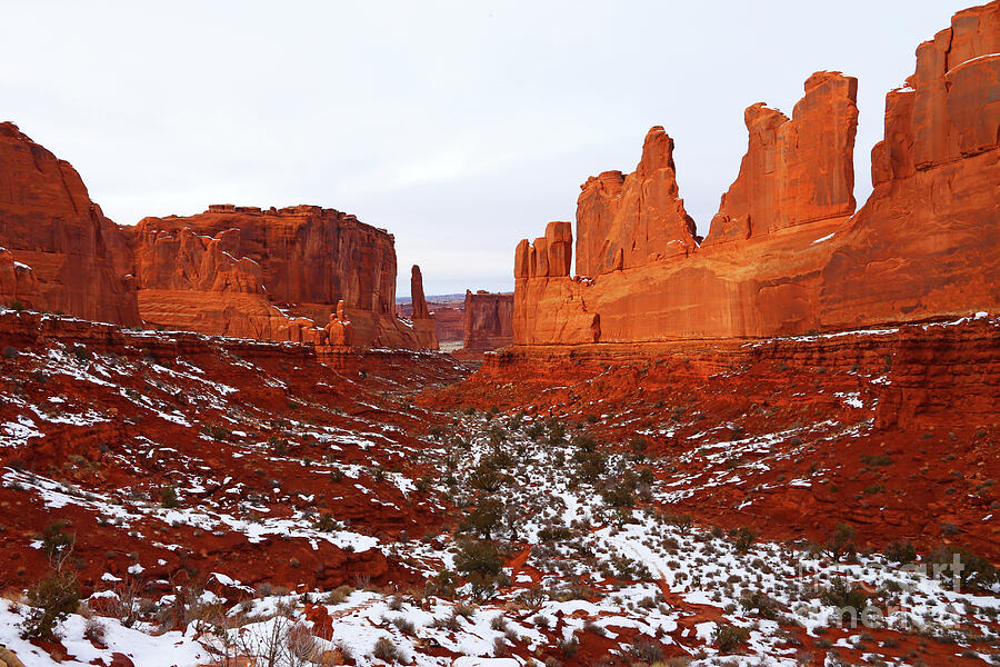 Winter Light in Arches National Park Photograph by Marty Fancy