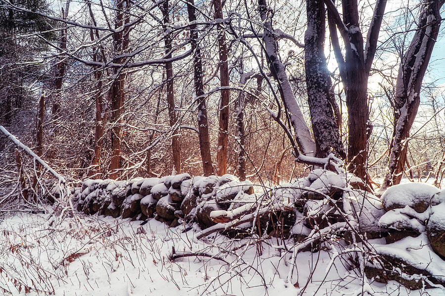 Winter magic - a stone wall Photograph by Lilia S