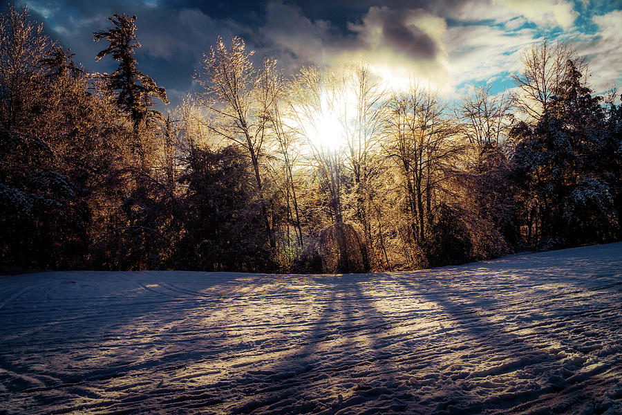 Winter magic - Backlight Photograph by Lilia S