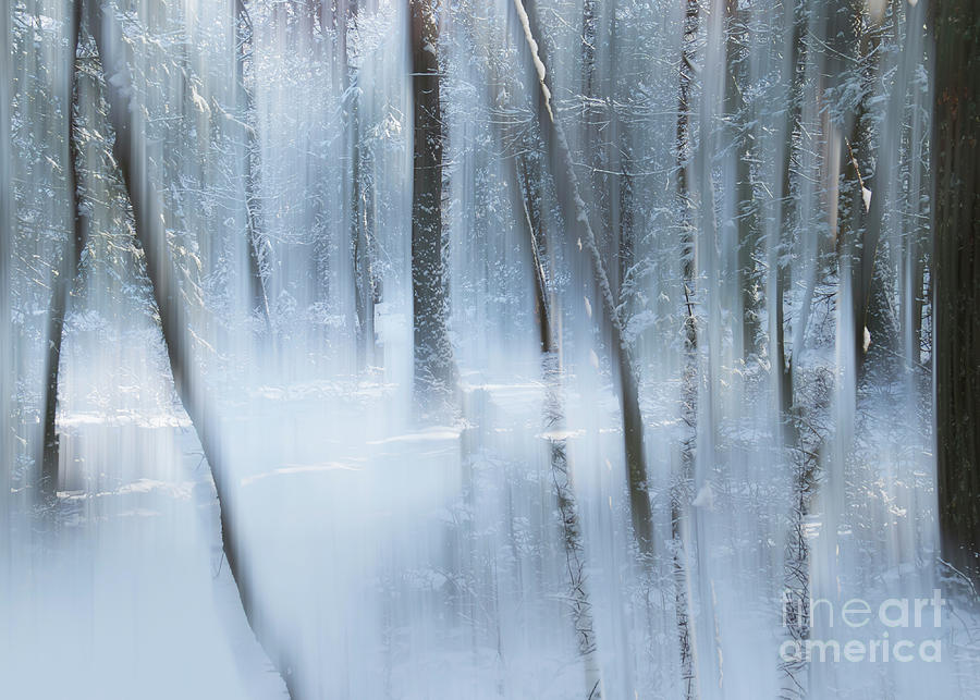 Winter Magic II Photograph by Lili Feinstein