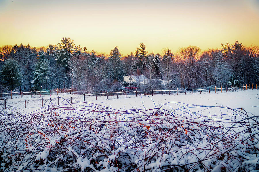 Winter magic landscape 2 Photograph by Lilia S