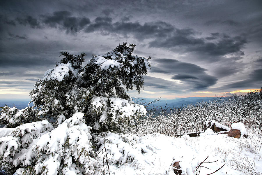 Winter Magic  Photograph by William Rainey
