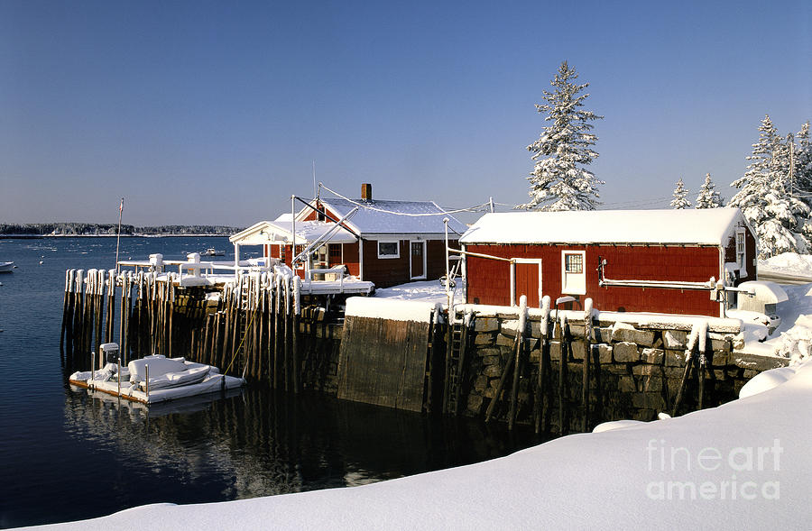 Winter, Maine coast Photograph by Kevin Shields