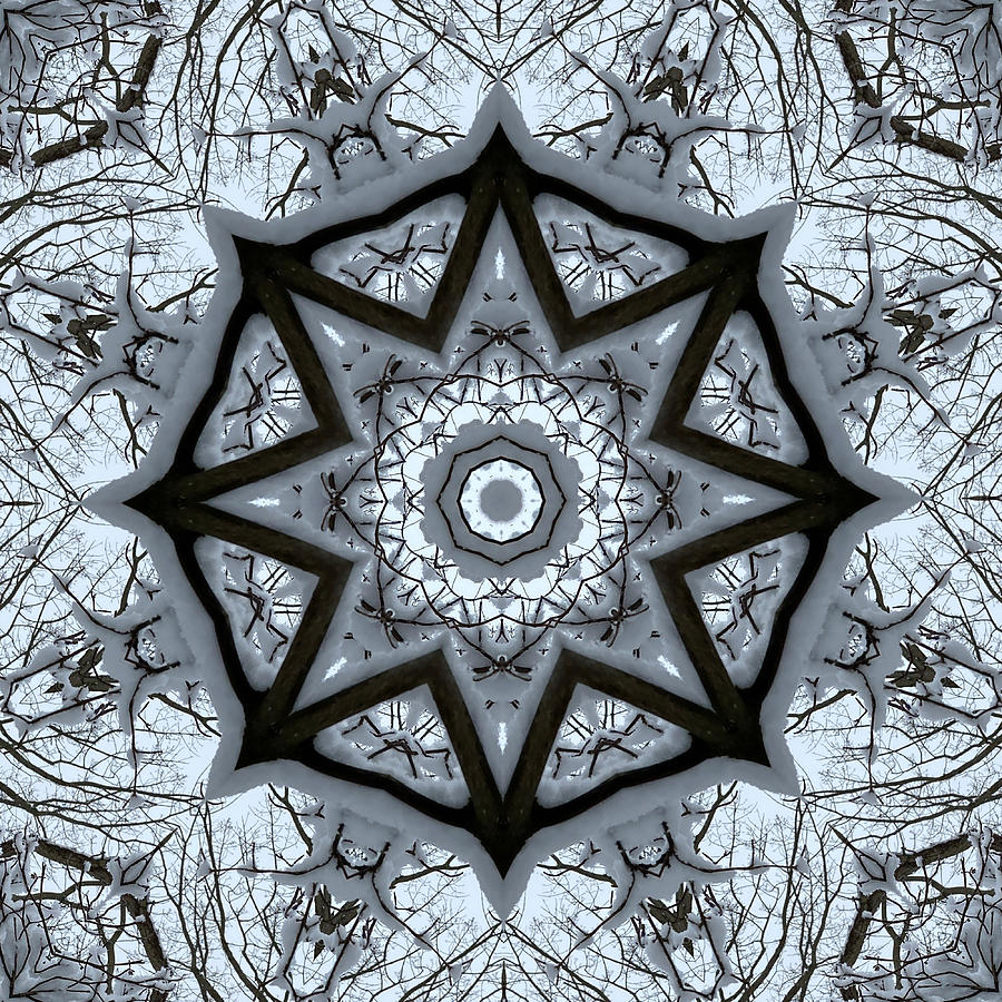 Winter Mandala Digital Art