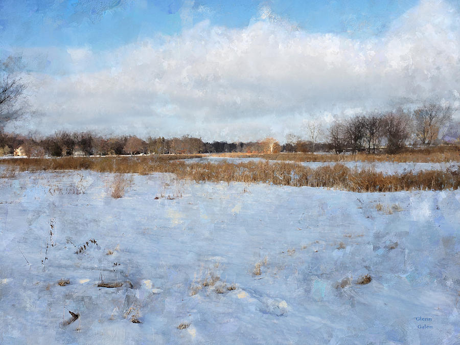 Winter Marsh - Lake Nokomis Mixed Media by Glenn Galen