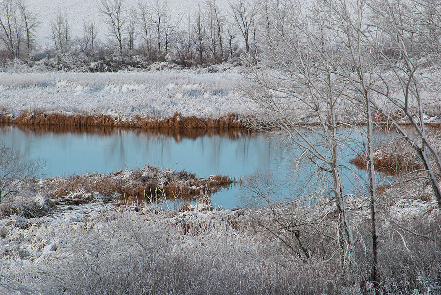 Winter Meets Spring in the Wetland Photograph by Cascade Colors