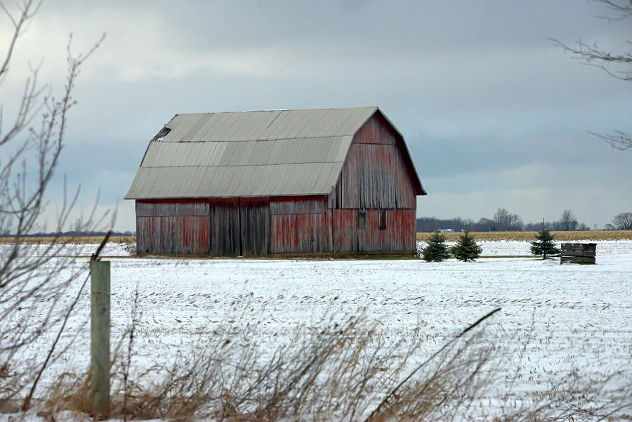 Winter Michigan Barn Photograph