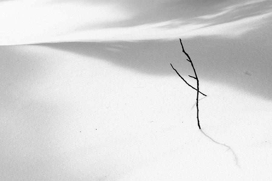Winter Minimalism Photograph by Martin Vorel Minimalist Photography