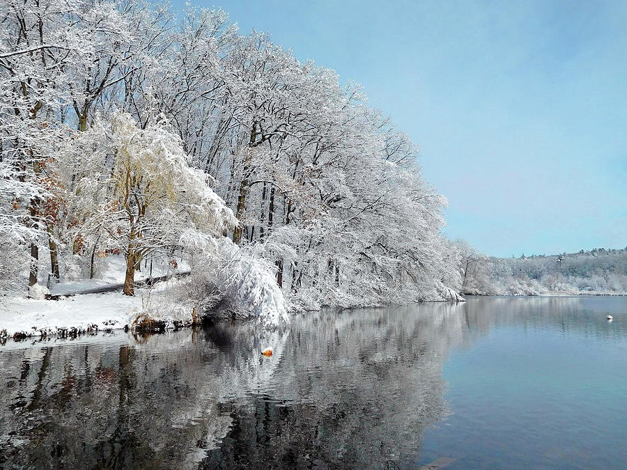 Winter Mood Photograph by Lyuba Filatova