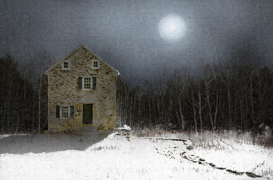 Winter Moon Digital Art
