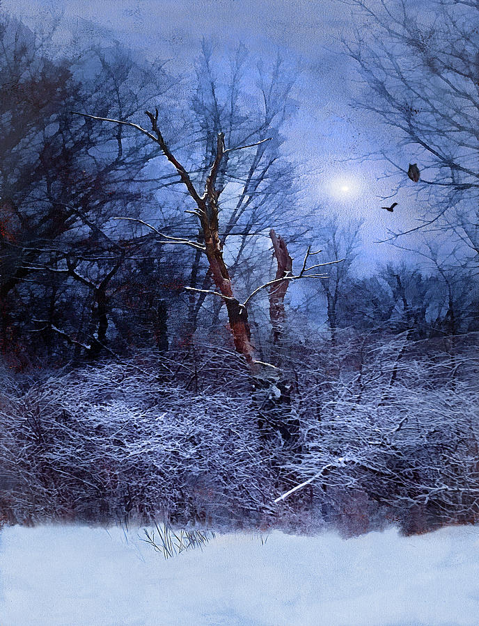 Winter Moonlit Flight Photograph by Cedric Hampton