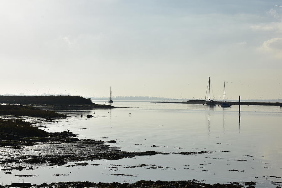 Winter Moorings Photograph by Linda Gemmill Winter Moorings Photograph by Linda Gemmill