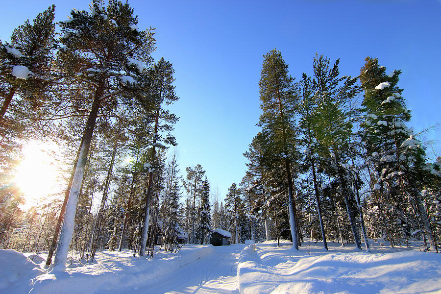 Winter morning Photograph by Abrahan Fraga - Fine Art America