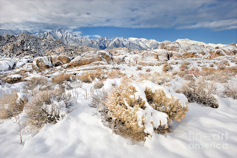  Winter Morning Alabama Hills Eastern Sierras California Photograph by Dave Welling
