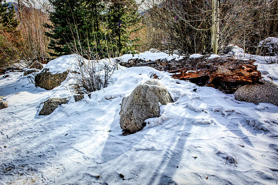 Winter Morning Alluvial Fan Trail Photograph by Douglas Wielfaert