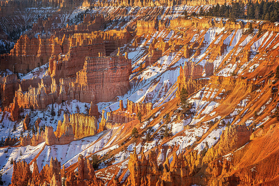 Winter Morning at Bryce Photograph by James Woody