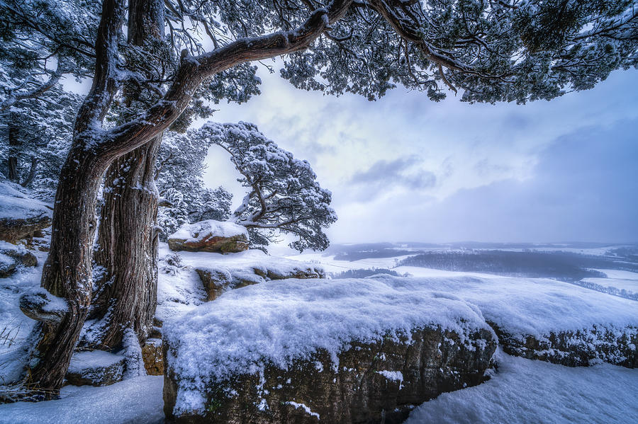 Winter Morning Photograph by Brad Bellisle