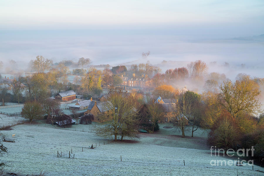 Winter Morning in the Frost and Fog Photograph by Tim Gainey
