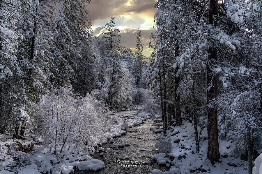 Winter morning in the Sierras  Photograph by Devin Wilson