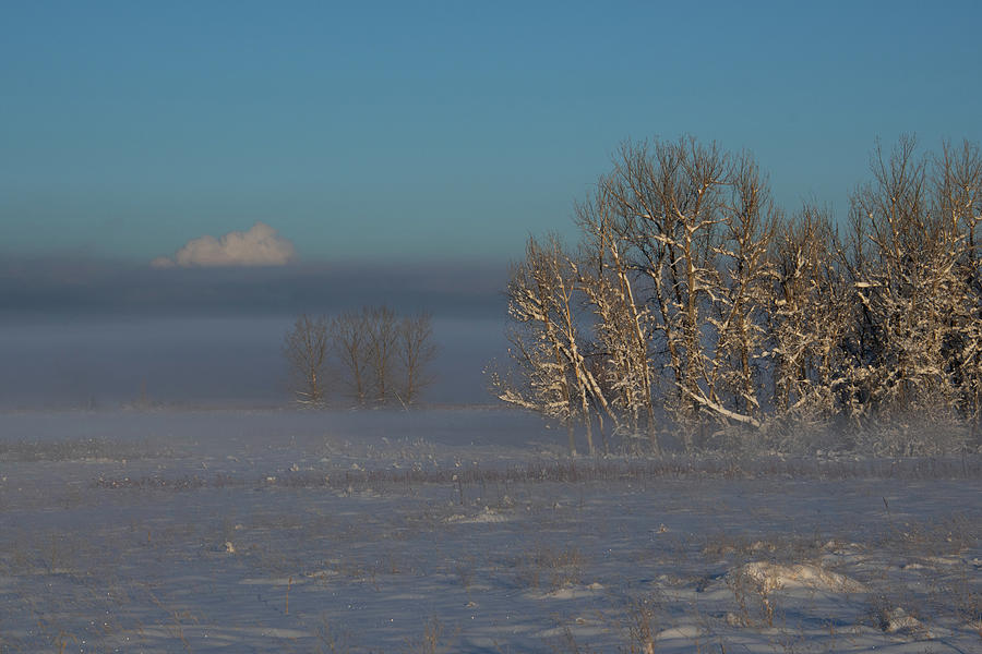 Winter Morning Meadow with Rising Fog Photograph by Cascade Colors